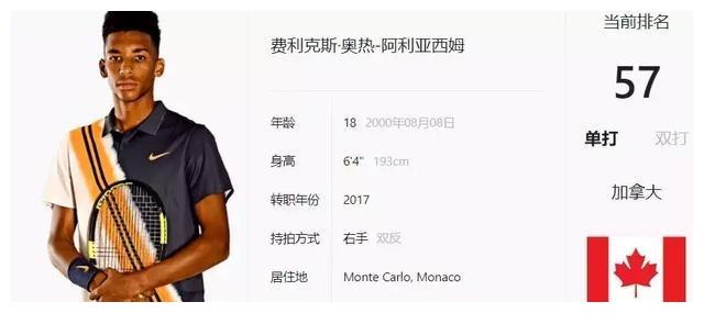 热情的观众 热情的观众